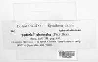 Mycosphaerella stemmatea image